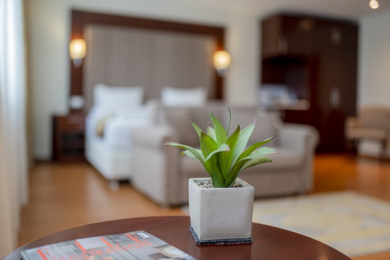 Palast Hotel